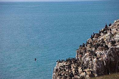 卧龙苍天陨落武器推荐，卧龙苍天陨落最强武器排行榜